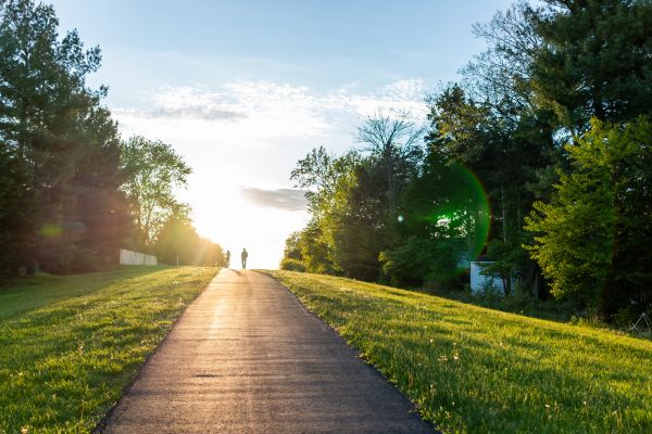 Cost of Asphalt Pathway Installation in Pleasanton