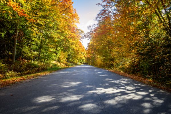 Cost of Blacktop Replacement in Pleasanton