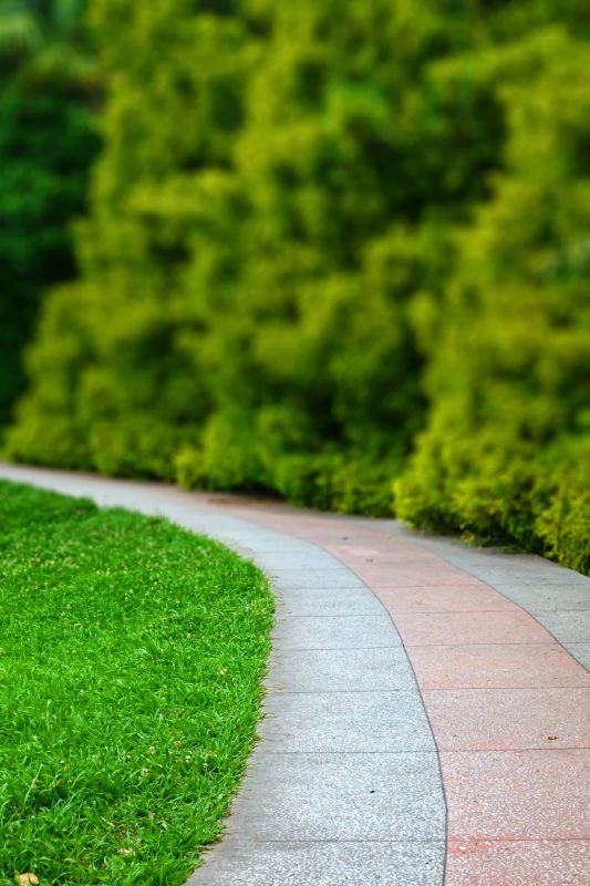 Commercial Paving detail
